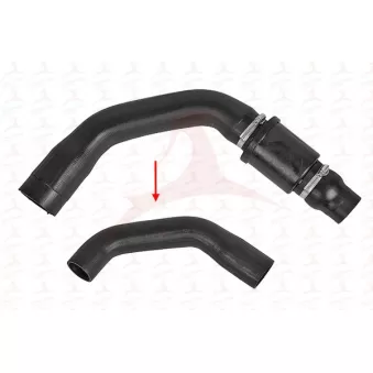 Gaine de suralimentation MEHA AUTOMOTIVE OEM 2019953