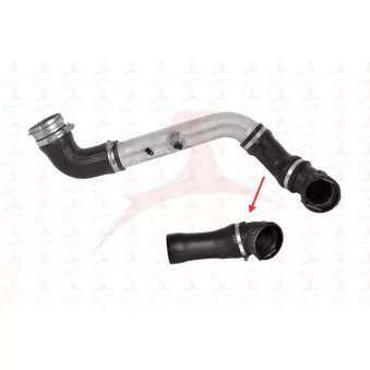 Gaine de suralimentation MEHA AUTOMOTIVE OEM 116177994001