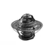 Metalcaucho 30907 - Thermostat, liquide de refroidissement