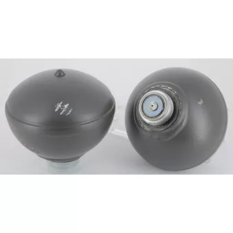 CEVAM 0120 - Jeu de 2 sphères