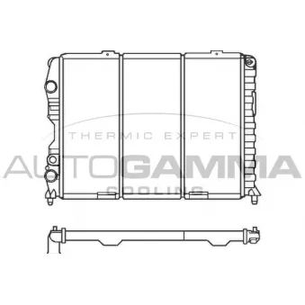 AUTOGAMMA 100029 - Radiateur, refroidissement du moteur