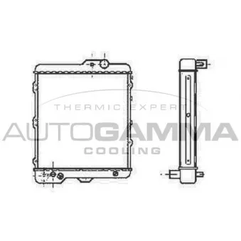 Radiateur, refroidissement du moteur AUTOGAMMA 100042