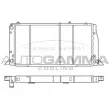 Radiateur, refroidissement du moteur AUTOGAMMA [100043]