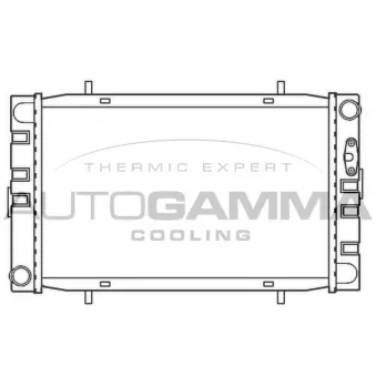 AUTOGAMMA 100071 - Radiateur, refroidissement du moteur