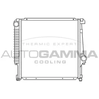 Radiateur, refroidissement du moteur AUTOGAMMA OEM 1719259