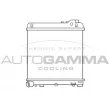 Radiateur, refroidissement du moteur AUTOGAMMA [100101]