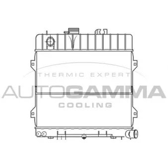 Radiateur, refroidissement du moteur AUTOGAMMA 100113
