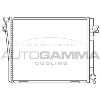 Radiateur, refroidissement du moteur AUTOGAMMA OEM 1712448