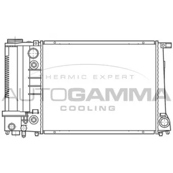 Radiateur, refroidissement du moteur AUTOGAMMA OEM 17111719305