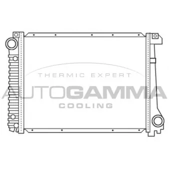 AUTOGAMMA 100130 - Radiateur, refroidissement du moteur