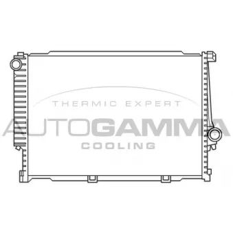 AUTOGAMMA 100132 - Radiateur, refroidissement du moteur