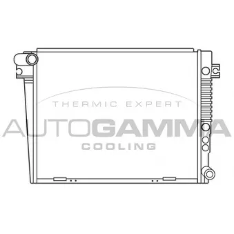 AUTOGAMMA 100135 - Radiateur, refroidissement du moteur