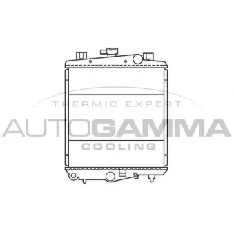 AUTOGAMMA 100139 - Radiateur, refroidissement du moteur