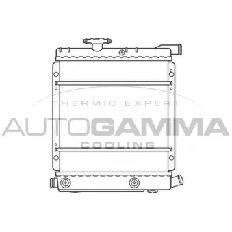 Radiateur, refroidissement du moteur AUTOGAMMA 100140