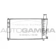AUTOGAMMA 100166 - Radiateur, refroidissement du moteur