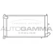 Radiateur, refroidissement du moteur AUTOGAMMA [100167]