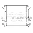 Radiateur, refroidissement du moteur AUTOGAMMA [100171]