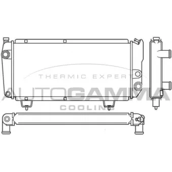 AUTOGAMMA 100193 - Radiateur, refroidissement du moteur