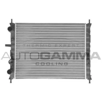 Radiateur, refroidissement du moteur AUTOGAMMA 100260