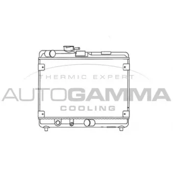 AUTOGAMMA 100303 - Radiateur, refroidissement du moteur