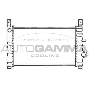 Radiateur, refroidissement du moteur AUTOGAMMA 100355