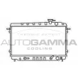 Radiateur, refroidissement du moteur AUTOGAMMA [100403]