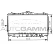 Radiateur, refroidissement du moteur AUTOGAMMA [100434]