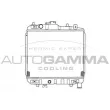 Radiateur, refroidissement du moteur AUTOGAMMA [100472]