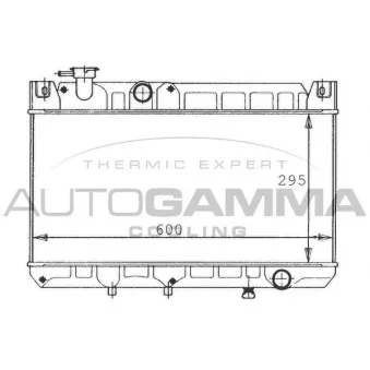 AUTOGAMMA 100479 - Radiateur, refroidissement du moteur