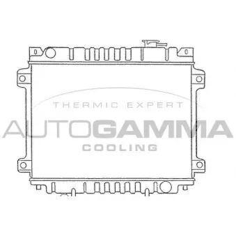 Radiateur, refroidissement du moteur AUTOGAMMA [100494]