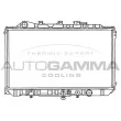 Radiateur, refroidissement du moteur AUTOGAMMA [100497]
