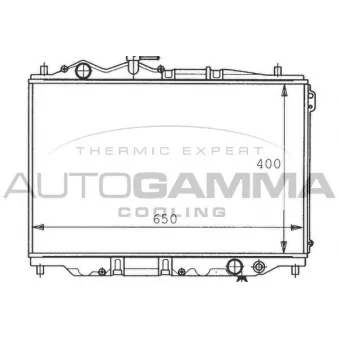 Radiateur, refroidissement du moteur AUTOGAMMA 100498