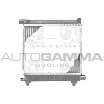 Radiateur, refroidissement du moteur AUTOGAMMA OEM 2015005703