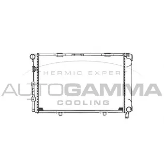 Radiateur, refroidissement du moteur AUTOGAMMA OEM 2015001903