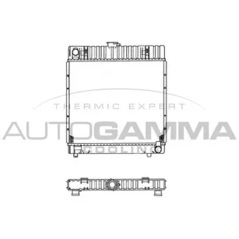 Radiateur, refroidissement du moteur AUTOGAMMA 100527