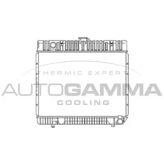 Radiateur, refroidissement du moteur AUTOGAMMA 100532