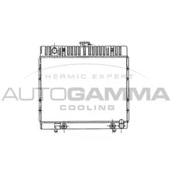 AUTOGAMMA 100533 - Radiateur, refroidissement du moteur