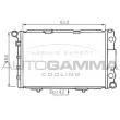 AUTOGAMMA 100551 - Radiateur, refroidissement du moteur