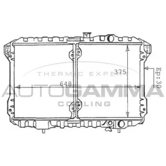 Radiateur, refroidissement du moteur AUTOGAMMA 100584