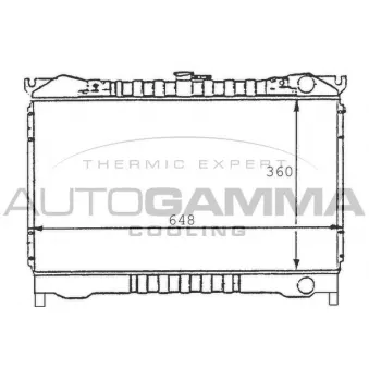 AUTOGAMMA 100603 - Radiateur, refroidissement du moteur