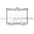 AUTOGAMMA 100620 - Radiateur, refroidissement du moteur