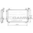AUTOGAMMA 100641 - Radiateur, refroidissement du moteur
