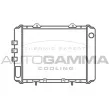 Radiateur, refroidissement du moteur AUTOGAMMA [100651]