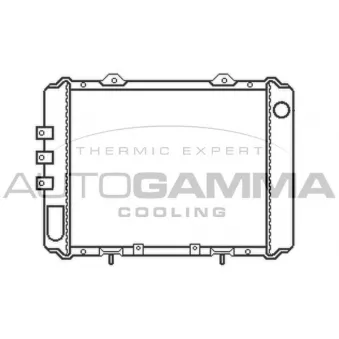 Radiateur, refroidissement du moteur AUTOGAMMA OEM 21410G5520