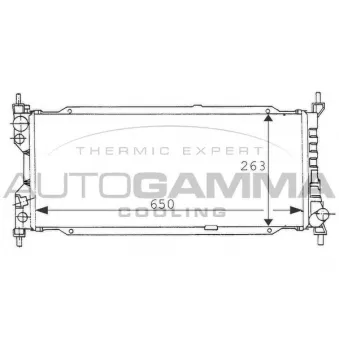 Radiateur, refroidissement du moteur AUTOGAMMA OEM 90410049