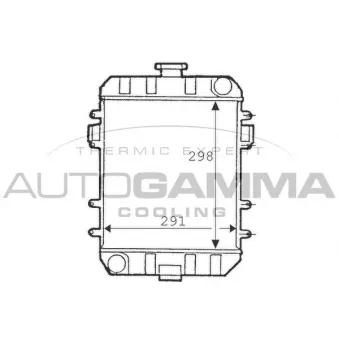 Radiateur, refroidissement du moteur AUTOGAMMA 100680