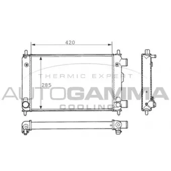Radiateur, refroidissement du moteur AUTOGAMMA 100682