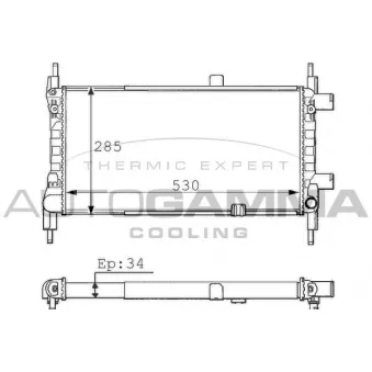 Radiateur, refroidissement du moteur AUTOGAMMA 100685