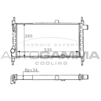 Radiateur, refroidissement du moteur AUTOGAMMA 100686