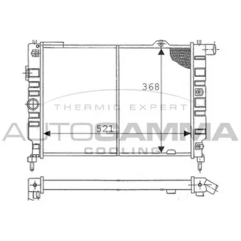 Radiateur, refroidissement du moteur AUTOGAMMA 100691